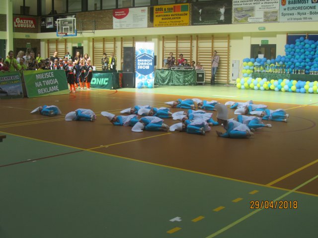 turta 500